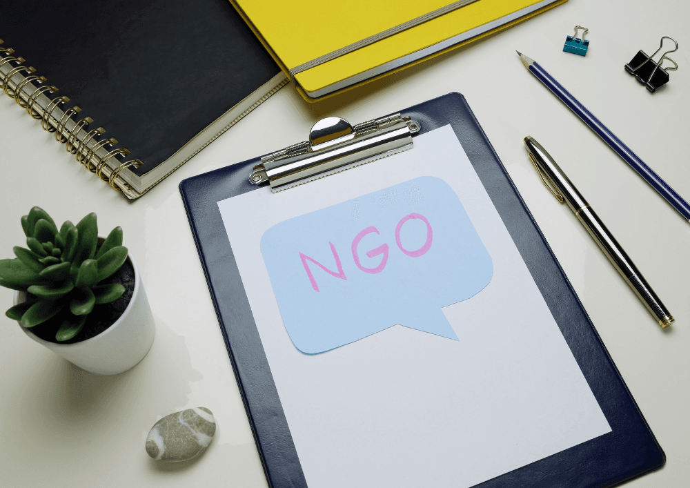 Our Recent Work And Expertise